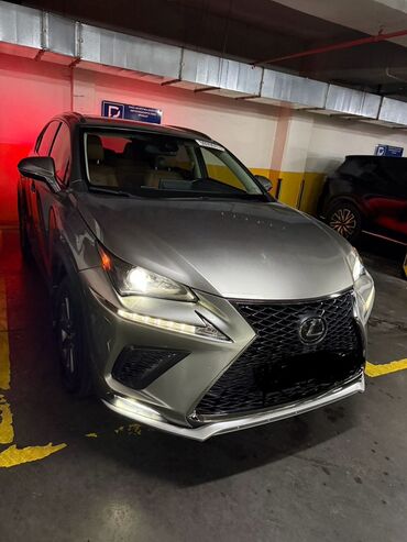 Lexus: Lexus NX: 2019 г., 2 л, Автомат, Бензиновая, Кроссовер — 4
