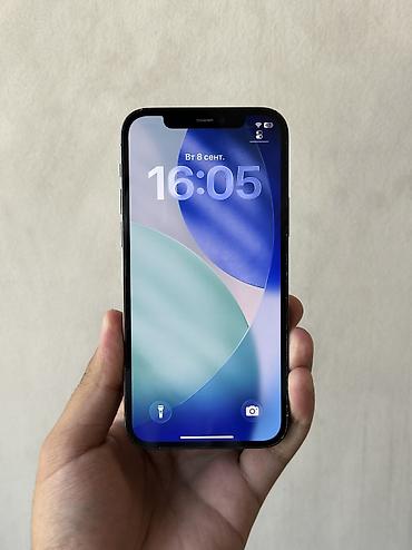 айклауде: IPhone 12 Pro, Б/у, 256 ГБ, Pacific Blue, Чехол, 90 % — 2