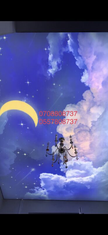 Натяжной потолок: Натяжные потолки Один из видов натяжных потолков - АРТ-ПЕЧАТЬ Арт — 19