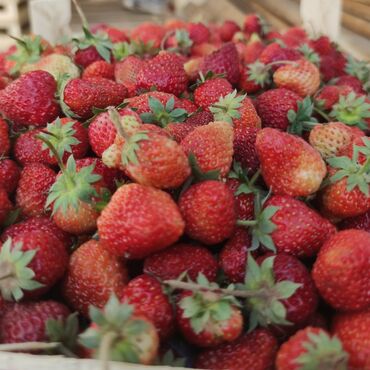 ящики для овощей и фруктов: Принимаем заказы на замороженные ягоды клубника,малина,смородина