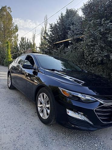 шевралет малибо: Chevrolet Malibu: 2019 г., 1.5 л, Автомат, Бензин, Седан — 4