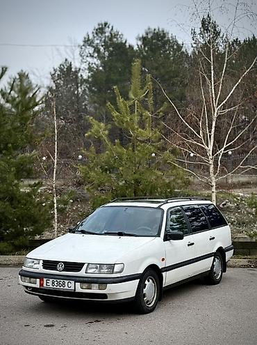 Volkswagen: Volkswagen Passat: 1995 г., Универсал — 3