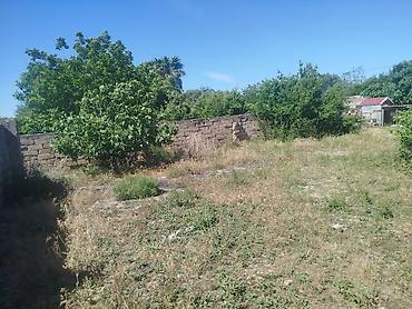 5 sot, Tikinti, Mülkiyyətçi, Kupça (Çıxarış) lalafo.az -da 5 sot, Tikinti, Mülkiyyətçi, Kupça (Çıxarış)