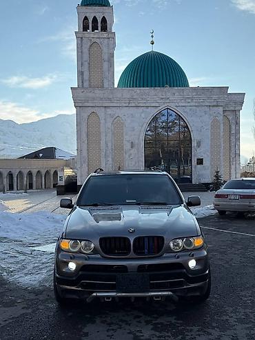 BMW: BMW X5: 2004 г., 4.4 л, Автомат, Бензин, Кроссовер — 10