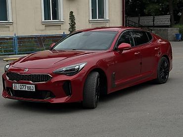 есть варианты: Kia Stinger: 2019 г., 2 л, Автомат, Бензин, Хэтчбэк — 1