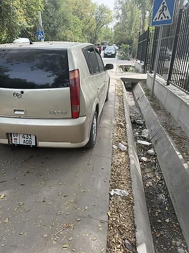японка машина: Toyota Opa: 2000 г., 2 л, Автомат, Бензин, Хэтчбэк — 4
