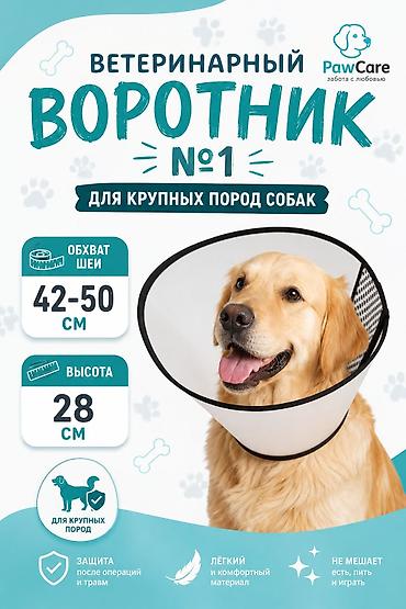 массажный ээр: Ветеринарный защитный воротник для собак крупных пород бу. Размер: - — 1