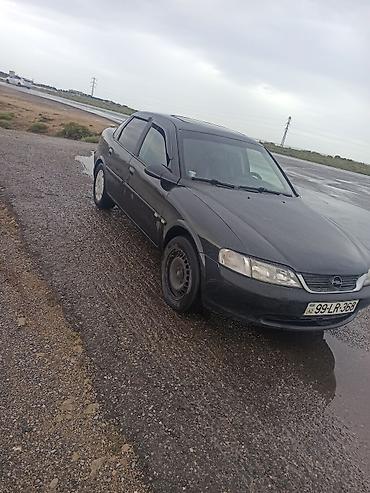 запчасти опель вектра б: Opel Vectra: 2 л | 1996 г. 276354 км Седан — 9