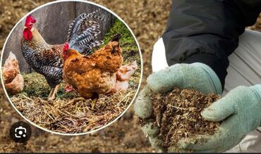 мойка с тумбой бишкек: Бесплатно! Самовывоз. Куриный помет — натуральное органическое