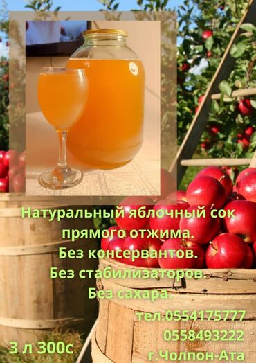 кирпич оптом жалал абад: Продается 100% натуральный яблочный домашний сок. без концентратов и