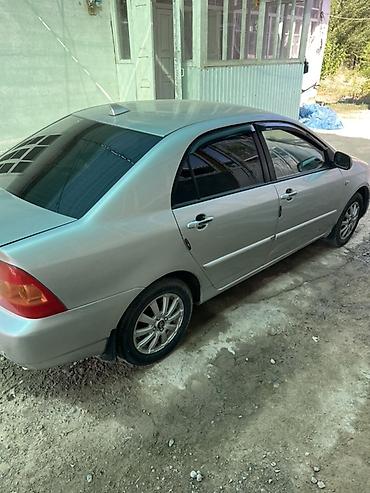 Toyota Corolla: 2005 г., 1.6 л, Механика, Бензин, Седан — 6