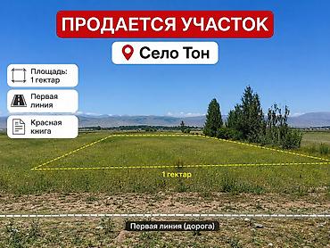 Земельные участки: 100 соток, Красная книга — 1