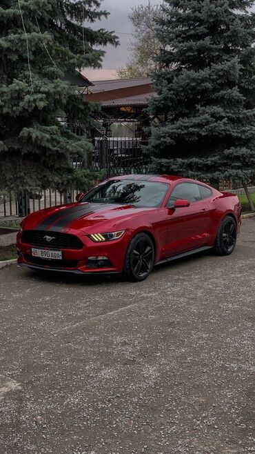 недорогой пикап бу: Ford Mustang: 2017 г., 2.3 л, Автоматические, Бензин, Купе