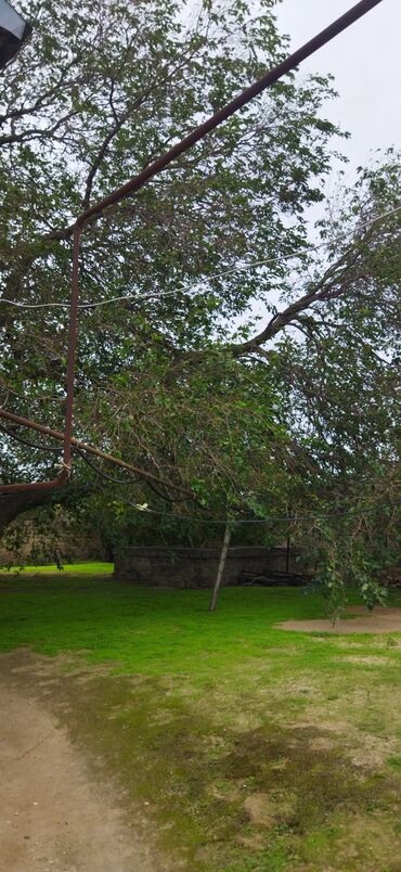 Həyət evləri və villaların satışı: 3 otaqlı, 70 kv. m, Kredit yoxdur, Təmirsiz -da lalafo.az — 9 Həyət evləri və villaların satışı: 3 otaqlı, 70 kv. m, Kredit yoxdur, Təmirsiz — 9