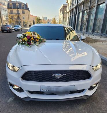 Digər avto xidmətlər: 2018-ci il Mustang. Toy, Nişan və digər tədbirlər üçün sifariş edə — 2