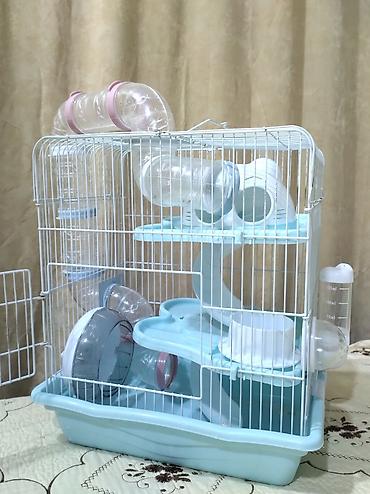 ucuz sifaner: Продаются 2 клетки для хомяков в идеальном состоянии.Hamster üçün tam — 1