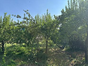 дом новопокровка: 🏡 ПРОДАЁТСЯ ПРОСТОРНЫЙ 7-КОМНАТНЫЙ ДОМ В НОВОПОКРОВКЕ! ✨ Отличный — 9
