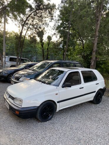 Volkswagen: Volkswagen Golf: 1993 г., 1.6 л, Механика, Бензин, Хэтчбэк