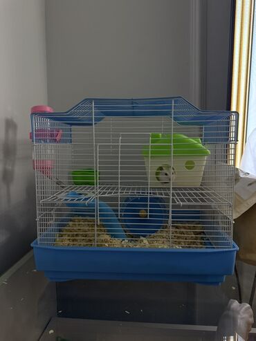 домик для котика: Клетка для хомяка с аксессуарами + шарик для выгуливания + наполнитель