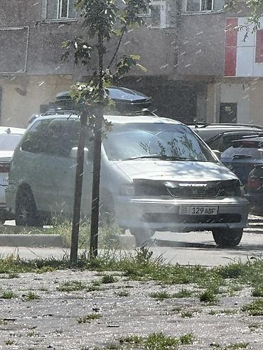 меняю на минвен: Honda Odyssey: 1997 г., 2.3 л, Автомат, Газ, Минивэн — 1