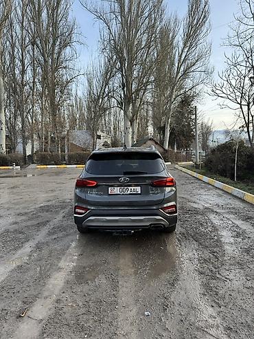 Hyundai: Hyundai Santa Fe: 2020 г., 2 л, Автомат, Бензин, Кроссовер — 6