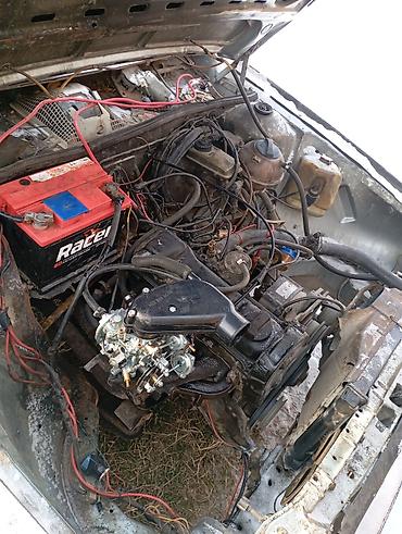 Volkswagen: Volkswagen : 1980 г., 1.8 л, Механика, Бензин, Хэтчбэк — 3