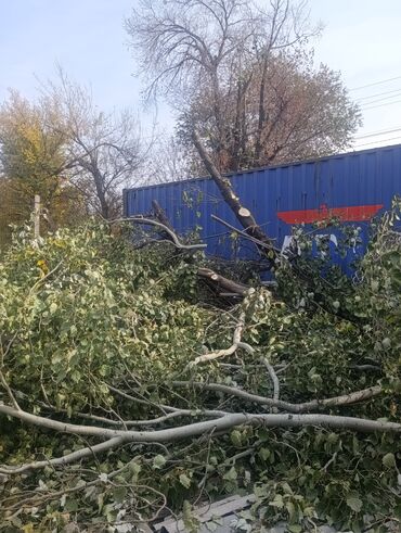 буржуйка для дома: Дрова две кучи за 6000 сом есть маленькие и большие самовывоз тел