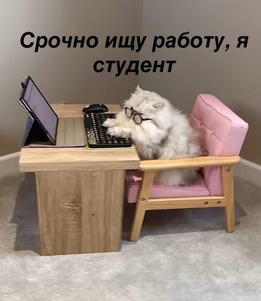 вакансия начальник службы безопасности: Требуется Официант Без опыта, Оплата Ежедневно