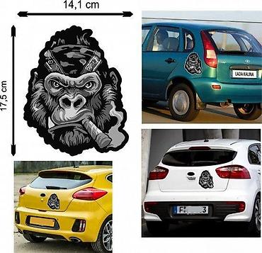 rim: GORILA - nalepnica - 411 📌 Opis: Samolepljive nalepnice izrađene od — 1