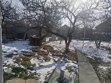 Продажа домов: Дом, 300 м², 6 комнат, Собственник, Косметический ремонт — 12