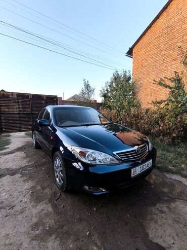 тойота камри 50 американец: Toyota Camry: 2002 г., 2.4 л, Автомат, Газ, Седан