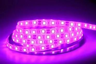Rasveta: ROZA LED TRAKA 5 METARA 300 DIODA | *U ponudi i IP65 vlagootporna — 26