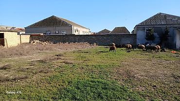 Torpaq sahələrinin satışı: Tikinti — 8