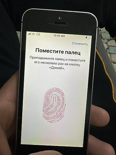 Apple iPhone: IPhone SE, Серебристый, 100 % — 2