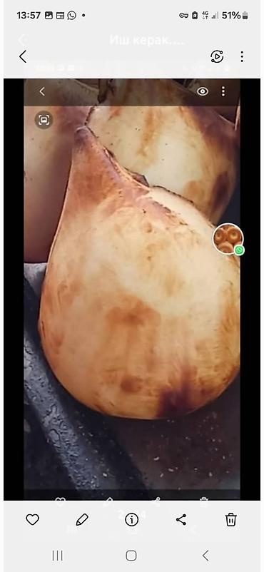 Повара: Повар Самсышник. С опытом — 5