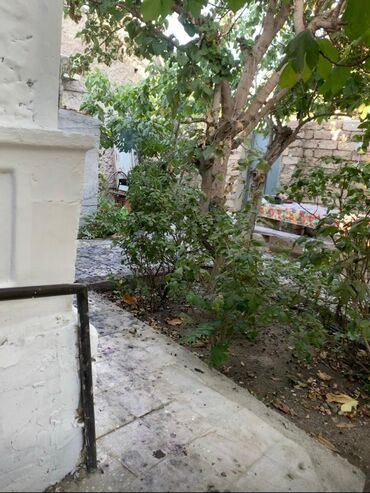 Bağ və bostan üçün digər məhsullar: Продаю землю в амираджанах около рельсов комсомольская дорога4 сотки — 3