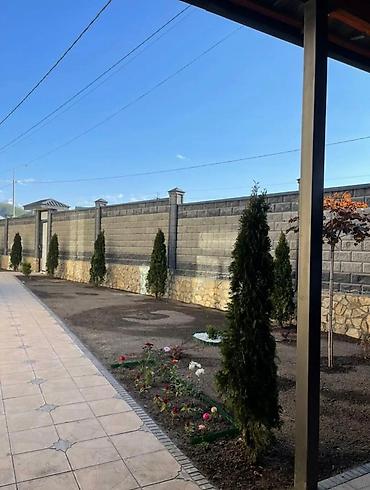 Другие услуги: Сеем газон (Автополив под ключ )🔑🔑🔑 подготовка участка к газону ✅✅✅ — 13