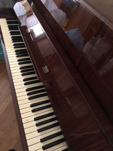 Pianolar: Piano, Petrof, Akustik