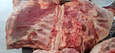 продаю мясо свинины: Свежезабитое домашнее вкусное мясо свинины Просто ляжкой 290 сом.кг