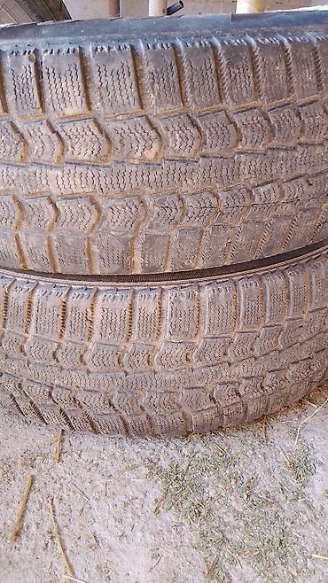 Шиналар: Зимние шины 205/65 R16 95Q, Окончательно — 3