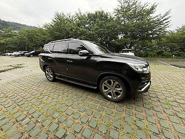 Ssangyong: Ssangyong Rexton: 2018 г., 2.2 л, Автомат, Дизель, Внедорожник — 17