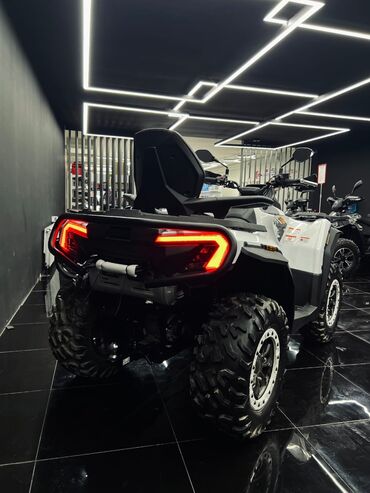 Квадроциклы: Квадроцикл Бензин, 1000 куб. см, Взрослый — 7