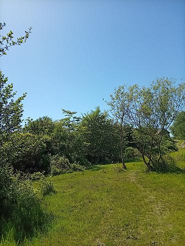 mehemmedi torpaq: 38 sot, Mülkiyyətçi, Kupça (Çıxarış) — 10