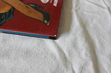 Stripovi: PERLE 17, PINAP 3 (HC), DARKWOOD | Odlično očuvan. Nečitan. Sitni — 6