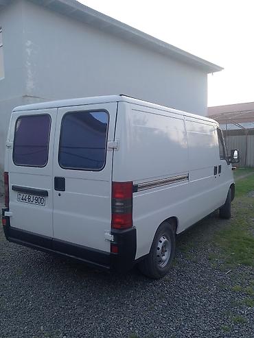Fiat: Fiat Ducato: 2 l | Mikroavtobus — 10