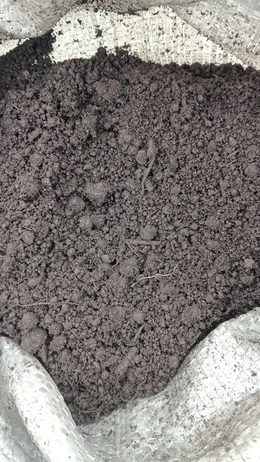 Torf: Torf gubresinn satişi torf balaken 2.50 300den cox alana catrlma -da lalafo.az — 16 Torf: Torf gubresinn satişi torf balaken 2.50 300den cox alana catrlma — 16