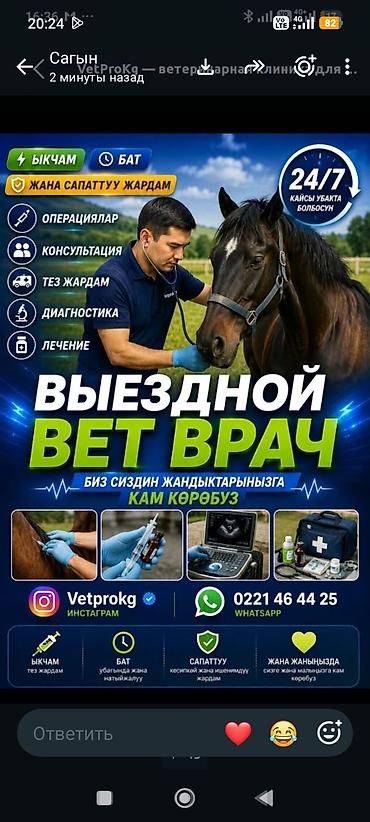 Выездной ветеринарный врач для сельскохозяйственных и домашних