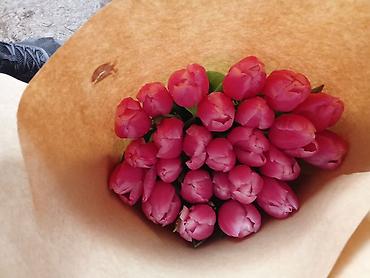 Букеты из живых цветов: Тюльпаны срезанные, сортовые, упакованные партиями. - Палитра — 5