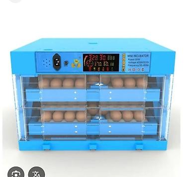 Инкубаторы: Инкубатор умница полный автомат новинка 2022года работает на 12вольт — 6