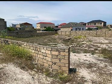 8 sot, Kupça (Çıxarış)